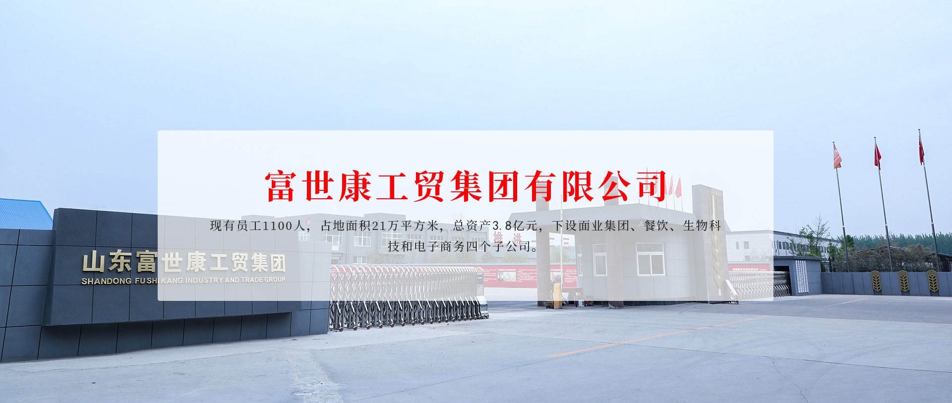 山東小麥胚芽油